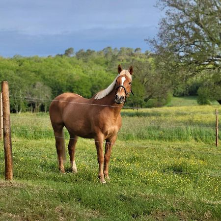 Maison Chaleureuse A La Campagne Payrignac Εξωτερικό φωτογραφία